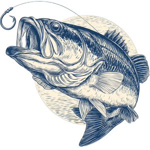 Bass Fish Drawing V2 Vinyl Car Decal Sticker – Waterproof & UV-Resistant 3.4133333333333336"