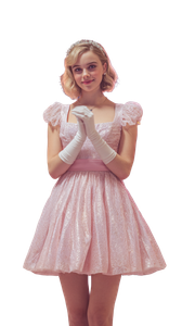 Retro Princess Performer V2 Vinyl Car Decal Sticker – Waterproof & UV-Resistant 9.706666666666667"