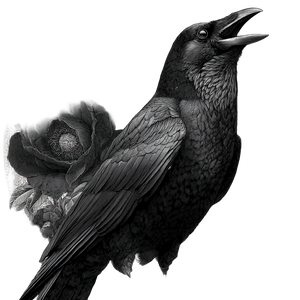 Raven Logo Design Vinyl Car Decal Sticker – Waterproof & UV-Resistant 3.4133333333333336"