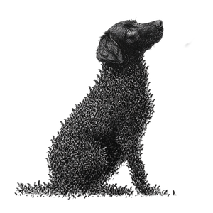 Puppy Dog Illustration Vinyl Car Decal Sticker – Waterproof & UV-Resistant 6.826666666666667"