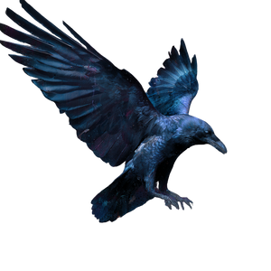 Uv Raven Graffiti Vinyl Car Decal Sticker – Waterproof & UV-Resistant 6.826666666666667"
