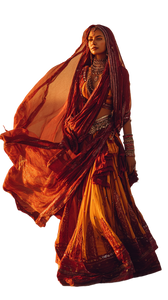Regal Rajasthani Woman Vinyl Car Decal Sticker – Waterproof & UV-Resistant 9.706666666666667"