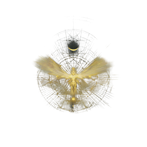 Angelic Butterfly Being Vinyl Car Decal Sticker – Waterproof & UV-Resistant 3.4133333333333336"