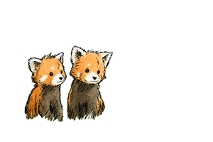 Red Pandas Drawing Vinyl Car Decal Sticker – Waterproof & UV-Resistant 2.986666666666667"