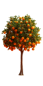 Tangerine Tree Panorama Vinyl Car Decal Sticker – Waterproof & UV-Resistant 10.2
