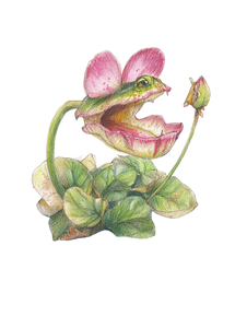 Monstrous Carnivorous Plant Vinyl Car Decal Sticker – Waterproof & UV-Resistant 8.213333333333333"