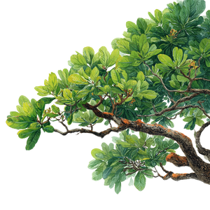 Tropical Tree Branches Vinyl Car Decal Sticker – Waterproof & UV-Resistant 3.4133333333333336"