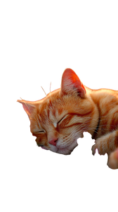 Sleeping Orange Cat V13 Vinyl Car Decal Sticker – Waterproof & UV-Resistant 9.706666666666667"