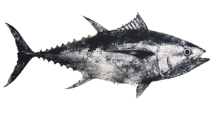 Bluefin Tuna Gyotaku Vinyl Car Decal Sticker – Waterproof & UV-Resistant 5.4