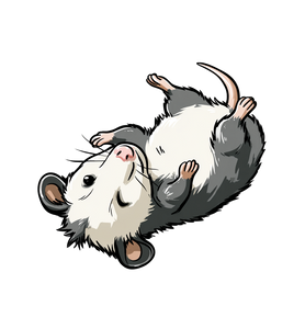 Cartoon Opossum Graphic Vinyl Car Decal Sticker – Waterproof & UV-Resistant 3.6