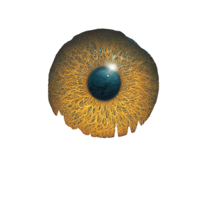 All-Seeing Computer Eye Vinyl Car Decal Sticker – Waterproof & UV-Resistant 3.4133333333333336"
