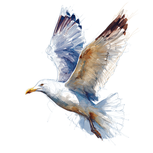 Flying Seagull Sketch Vinyl Car Decal Sticker – Waterproof & UV-Resistant 6.826666666666667"
