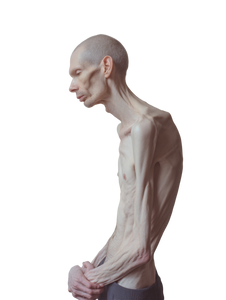 Schiele-Inspired Figure Vinyl Car Decal Sticker – Waterproof & UV-Resistant 8.213333333333333" Schiele-Inspired Figure Vinyl Car Decal Sticker – Waterproof & UV-Resistant 8.213333333333333"