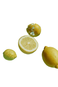 Floating Lemon Slices V5 Vinyl Car Decal Sticker – Waterproof & UV-Resistant 8.96"