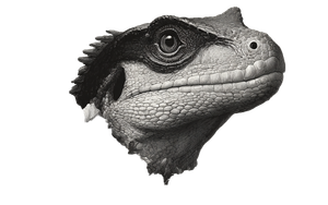 Prehistoric Plant Dinosaur Vinyl Car Decal Sticker – Waterproof & UV-Resistant 2.8
