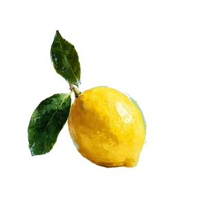 Lemon Icon Vinyl Car Decal Sticker – Waterproof & UV-Resistant 6.826666666666667"