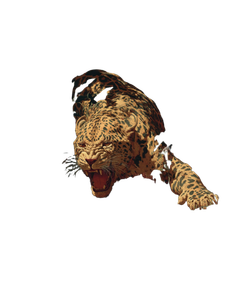 Camouflaged Jungle Leopard Vinyl Car Decal Sticker – Waterproof & UV-Resistant 4.0"