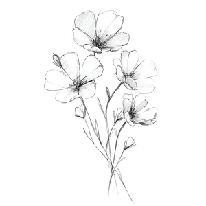 Floral Sketch Outline Vinyl Car Decal Sticker – Waterproof & UV-Resistant 3.4133333333333336"