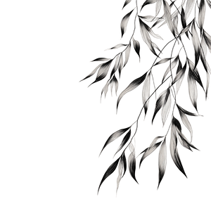 Weeping Willow Leaves Vinyl Car Decal Sticker – Waterproof & UV-Resistant 3.4133333333333336"
