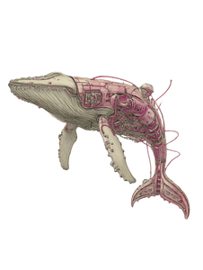 Cybernetic Whale Diagram Vinyl Car Decal Sticker – Waterproof & UV-Resistant 4.1066666666666665"