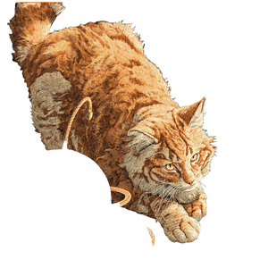 Cosmic Ginger Cat Vinyl Car Decal Sticker – Waterproof & UV-Resistant 3.4133333333333336"