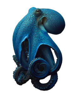 Blue Octopus Tentacle Vinyl Car Decal Sticker – Waterproof & UV-Resistant 8.213333333333333"