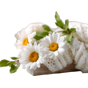 Chamomile Floral Arrangement Vinyl Car Decal Sticker – Waterproof & UV-Resistant 6.826666666666667"