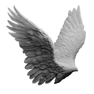 Monochrome Angel Wing Vinyl Car Decal Sticker – Waterproof & UV-Resistant 3.4133333333333336"