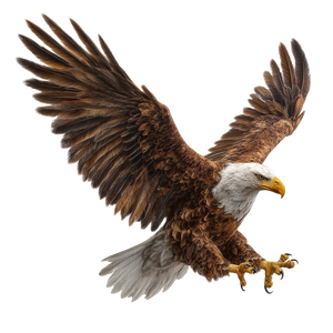 Eagle In Flight V13 Vinyl Car Decal Sticker – Waterproof & UV-Resistant 3.4133333333333336"