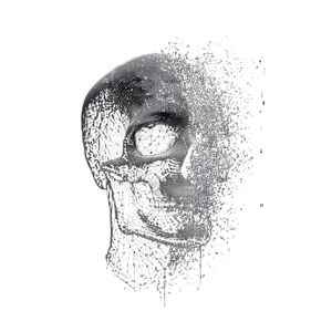 Dissolving Skull Diagram Vinyl Car Decal Sticker – Waterproof & UV-Resistant 6.826666666666667"