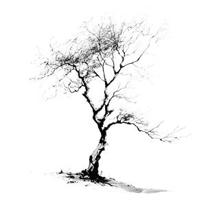 Calligraphy Tree Vinyl Car Decal Sticker – Waterproof & UV-Resistant 3.4133333333333336"