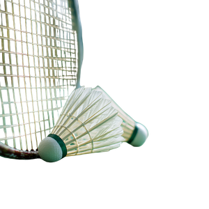 Badminton Net Scene Vinyl Car Decal Sticker – Waterproof & UV-Resistant 3.4133333333333336"