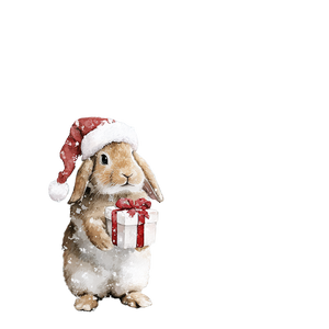Bunny Santa Gift Vinyl Car Decal Sticker – Waterproof & UV-Resistant 3.4133333333333336"