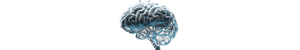 Schematic Brain Visualization Vinyl Car Decal Sticker – Waterproof & UV-Resistant 2.986666666666667"