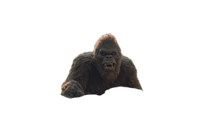 Roaring Bigfoot Encounter Vinyl Car Decal Sticker – Waterproof & UV-Resistant 2.72"