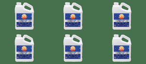 6x Ultimate Protection Paint Sealant | 1 Gallon Jug | 303  | Lasts 2x Longer | Easy Spray On & Rinse Off