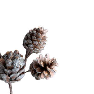 Pine Bouquet Close-Up Vinyl Car Decal Sticker – Waterproof & UV-Resistant 6.826666666666667"