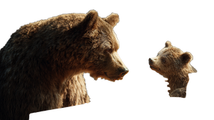 Bears Eating Pancakes Vinyl Car Decal Sticker – Waterproof & UV-Resistant 5.4