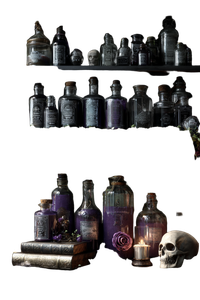 Witchy Apothecary Shelf Vinyl Car Decal Sticker – Waterproof & UV-Resistant 4.4