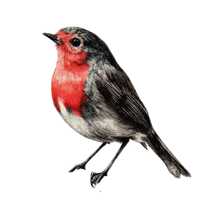 Robin Engraving Tattoo Vinyl Car Decal Sticker – Waterproof & UV-Resistant 3.4133333333333336"