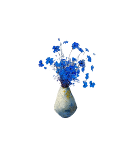 Blue Flowers Vase Vinyl Car Decal Sticker – Waterproof & UV-Resistant 4.1066666666666665" Blue Flowers Vase Vinyl Car Decal Sticker – Waterproof & UV-Resistant 4.1066666666666665"