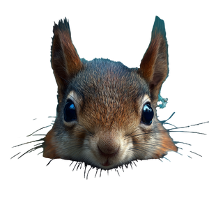 Innocent Squirrel Head Vinyl Car Decal Sticker – Waterproof & UV-Resistant 6.826666666666667"