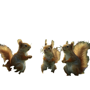 Squirrels In Forest Vinyl Car Decal Sticker – Waterproof & UV-Resistant 3.4133333333333336"
