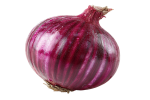 Purple Onion Vinyl Car Decal Sticker – Waterproof & UV-Resistant 2.986666666666667"
