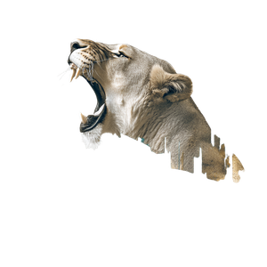Lioness Temple Roar Vinyl Car Decal Sticker – Waterproof & UV-Resistant 3.4133333333333336"