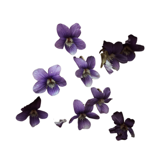Mountain Flowers Violets Vinyl Car Decal Sticker – Waterproof & UV-Resistant 3.4133333333333336"