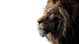 Lion Profile Portrait Vinyl Car Decal Sticker – Waterproof & UV-Resistant 5.4