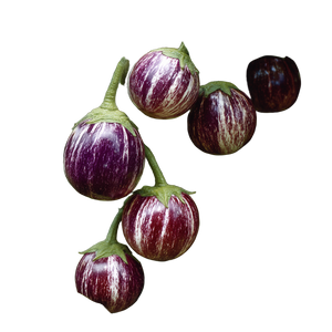 Pinstripe Eggplant Vinyl Car Decal Sticker – Waterproof & UV-Resistant 6.826666666666667"