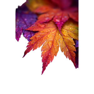Colorful Autumn Leaf Vinyl Car Decal Sticker – Waterproof & UV-Resistant 3.4133333333333336"