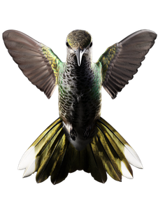 Hummingbird In Flight V8 Vinyl Car Decal Sticker – Waterproof & UV-Resistant 8.213333333333333"